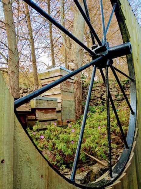 Orchard View Yurt & Hot Tub Somerset Weston-super-Mare Bagian luar foto